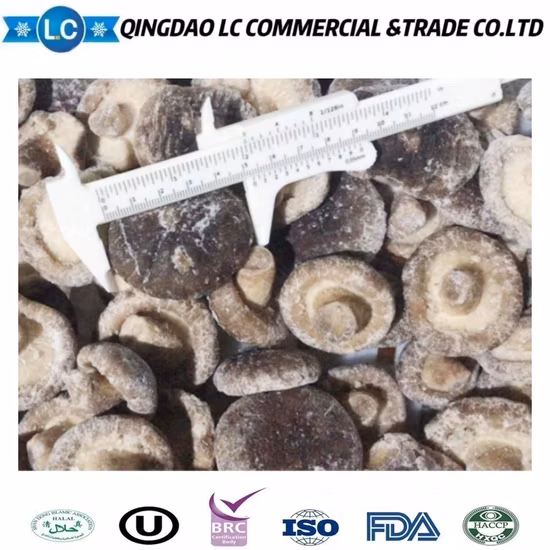 Lentinus Edodes, funghi shiitake biologici freschi congelati a prezzo all'ingrosso