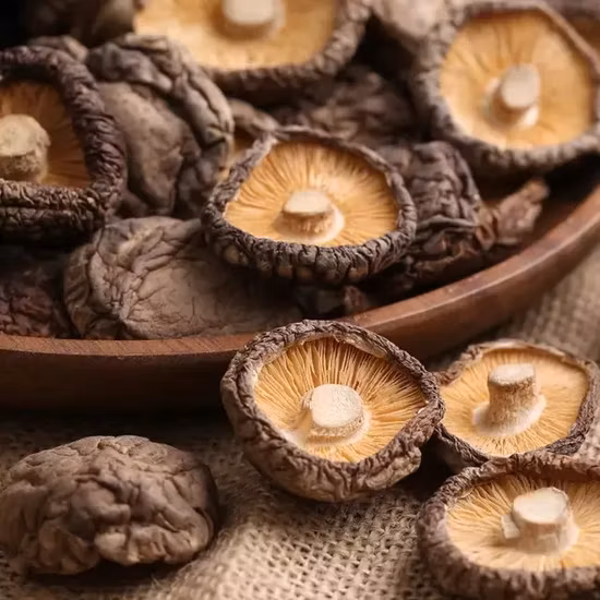 Griflola Frondosa fetta di fungo maitake biologico essiccato